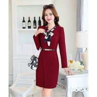 Đầm ôm tay dài phối nơ - CSWDAMTR1252