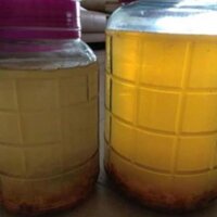 DẤM TÁO MÈO 1000ML NGÂM DÙNG UỐNG THANH LỌC