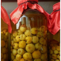 DẤM TÁO MÈO NHÀ NGÂM CHẤT LƯỢNG THƠM MÁT CHAI 1 LÍT