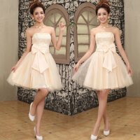 Đầm thời trang mới cho cô dâu, đầm phù dâu, đầm chủ tiệc cưới, đầm cưới, đầm dạ hội, váy ngắn, thai sản, sắc đẹp cao cấp