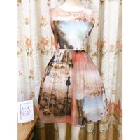 Đầm váy 2hand 3D dáng xòe cổ điển họa tiết vintage siêu sang