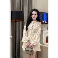 Đầm váy ren voan nữ cổ tròn đứng phối chân váy xoè, đầm váy nữ đính cúc bọc dọc chiết eo phối váy xoè