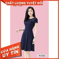 ĐẦM XÒE ÔM EO CỔ GIẢ NGỰC TRÁI ĐÍNH HOA TAY NGẮN