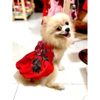 Đầm yếm dạng bí chất vải gấm mặc Tết cho thú cưng màu đỏ , màu vàng, màu hồng dễ thương - Pun Pun Petshop