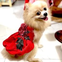 Đầm yếm hoa hồng cho thú cưng -Pun pun Petshop