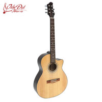 Đàn Acoustic Guitar GA- 10 EL