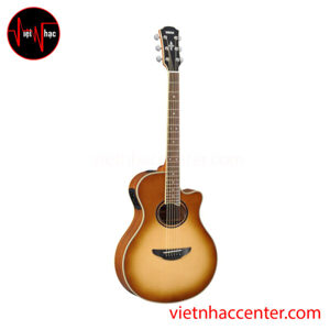 Đàn Acoustic guitar Yamaha APX700II
