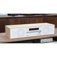 Dàn âm thanh Mini Pioneer X-CM66D Chính hãng BH 12 tháng