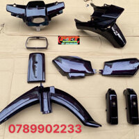 DÀN ÁO XE DREAM ĐẶC BIỆT