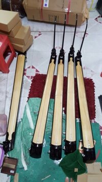 Đàn Bầu Xếp
