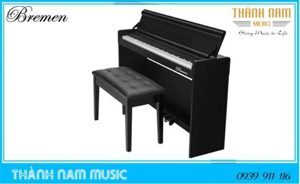 Đàn Bremen BM330