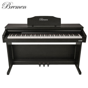Đàn Bremen BM363