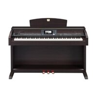 Đàn Clavionva Yamaha CVP 503