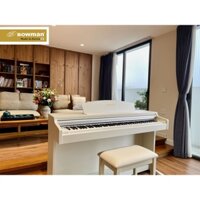 Đàn điện Bowman Piano CX-280