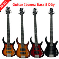 Đàn Electric Bass Guitar Ibanez (5 dây) YN18
