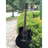 Đàn Ghita Acoustic Vines VA4020BK -