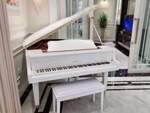 Đàn Grand Piano Yamaha GB1K PE