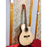 ĐÀN GUITAR ACOUSTIC AD130