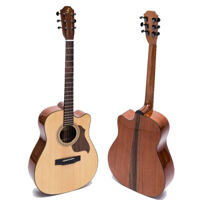 Đàn Guitar Acoustic Ba Đờn Martin M350