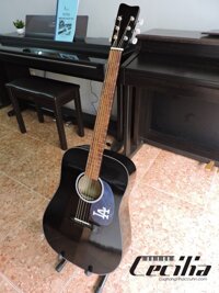 Đàn Guitar acoustic CA-03