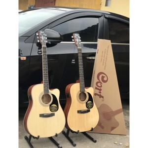 Đàn Guitar Acoustic Cort AD880CE