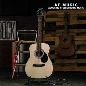 Đàn Guitar Acoustic Cort AF510