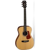 Đàn Guitar Acoustic Cort L100C