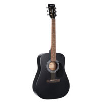 Đàn Guitar Acoustic Cort AD810