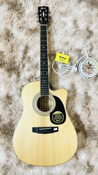 Đàn Guitar Acoustic Cort AD880CE