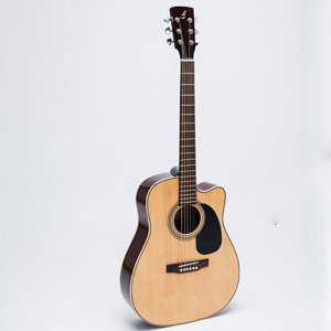 Đàn Guitar Acoustic D-120