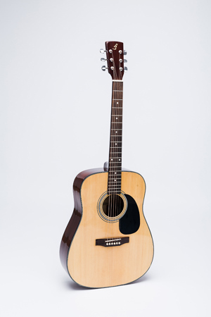 Đàn Guitar Acoustic D-120
