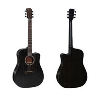 Đàn Guitar Acoustic Diana 729 DN-DB
