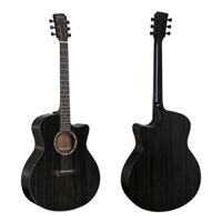 Đàn Guitar Acoustic Diana 729 DN-AB