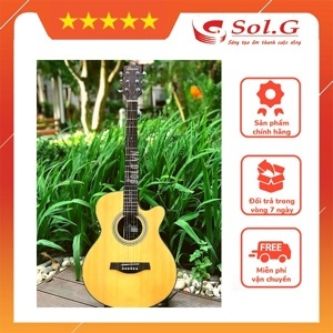 Đàn guitar Acoustic Diana D815-NM