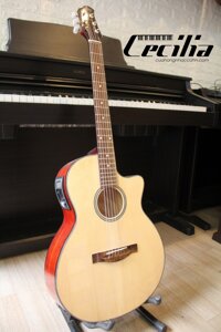 Đàn Guitar Acoustic EQ LC5 - Guitar Acoustic giá rẻ