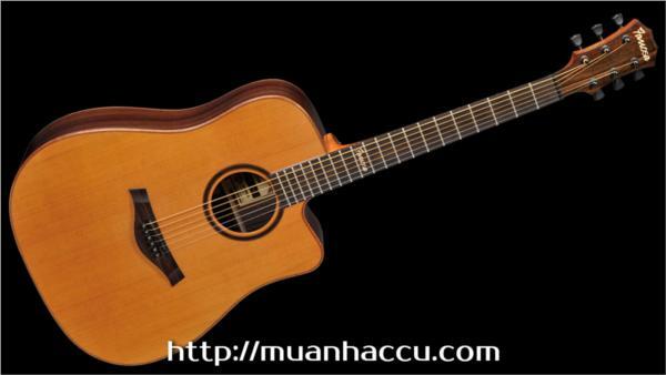 Đàn Guitar Acoustic Famosa FD535CU
