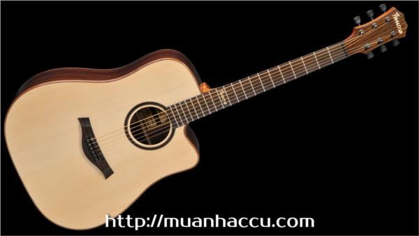 Đàn Guitar Acoustic Famosa FD535SU