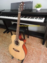 Đàn guitar acoustic GA-010EN