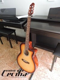 Đàn Guitar Acoustic GA - 10EL