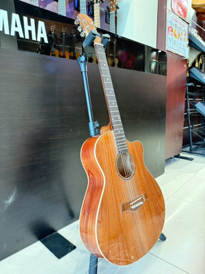 Đàn Guitar Acoustic GA-16HL