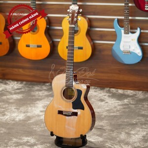 Đàn Guitar Acoustic GA- 20HL