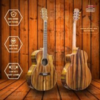 Đàn guitar acoustic gỗ thịt 100% có ty chính hãng cao cấp Guitar Acoustic Ms355