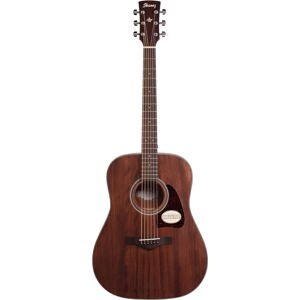 Đàn Guitar Acoustic Ibanez AW54