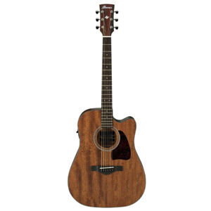 Đàn Guitar Acoustic Ibanez AW54CE OPN