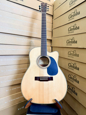 Đàn Guitar Acoustic J-260