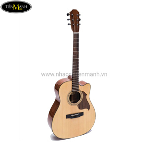 Đàn Guitar Acoustic Martin 350