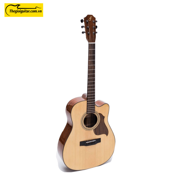 Đàn Guitar Acoustic Martin 350