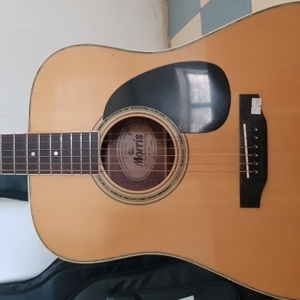 Đàn Guitar acoustic  Morris W-25