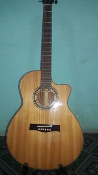 Đàn Guitar Acoustic MS 004