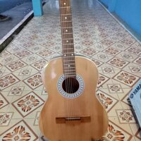 Đàn Guitar Acoustic  MS 006